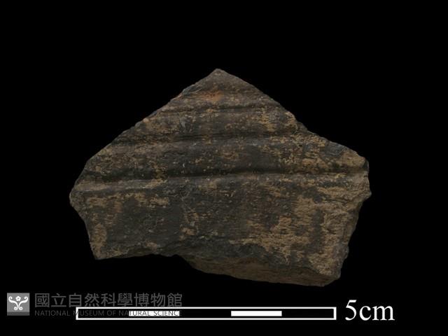 陶片藏品圖，第1張