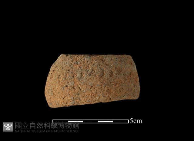 Accession Number:BY-2016-297 Collection Image