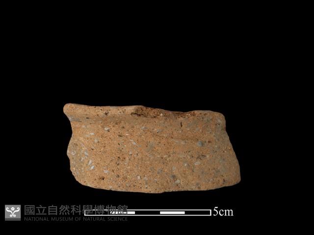 陶片藏品圖，第1張