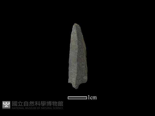 帶加工痕石材藏品圖，第1張