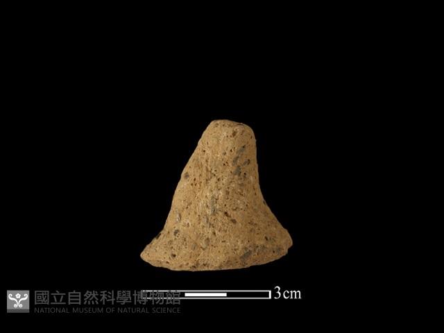 陶蓋鈕藏品圖，第1張