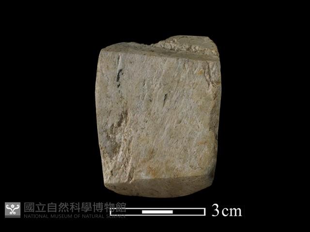 錛鑿形器藏品圖，第2張