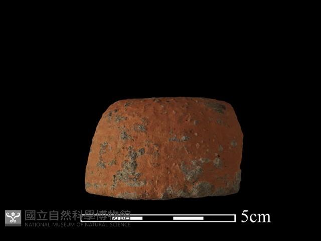 紡輪藏品圖，第2張