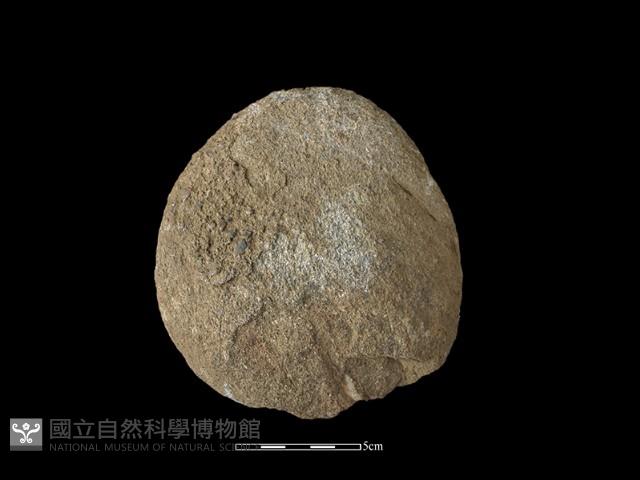 砍砸器藏品圖，第1張