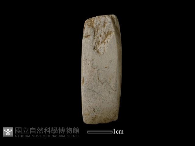 錛鑿形器藏品圖，第2張