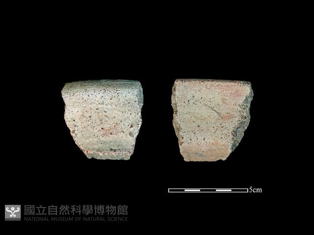 陶片藏品圖，第1張