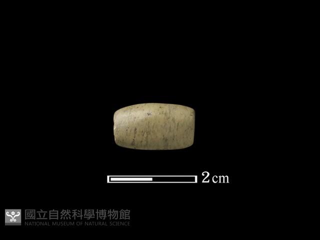 管珠藏品圖，第2張