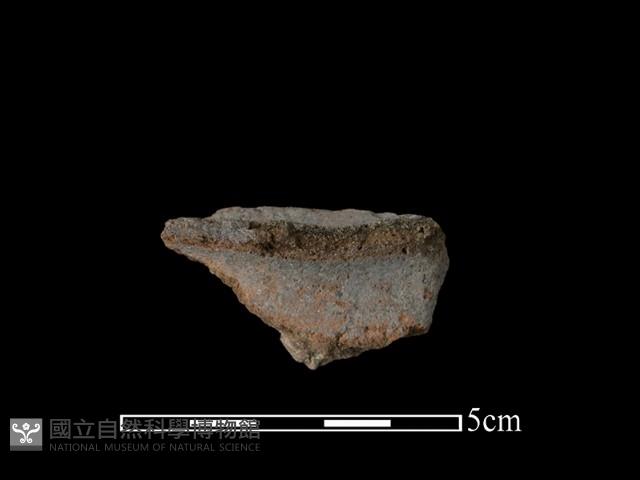 陶片藏品圖，第1張