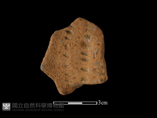 陶把藏品圖，第2張