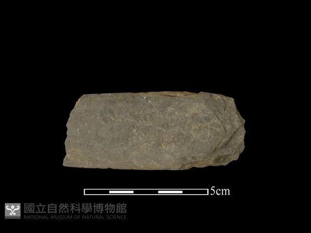 磨製有刃石器藏品圖，第2張