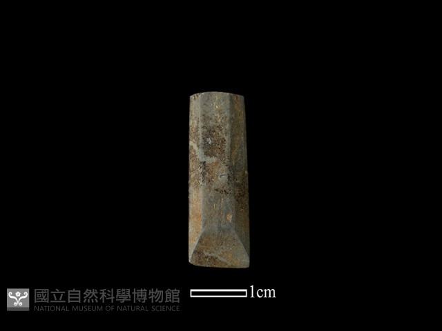 錛鑿形器藏品圖，第1張