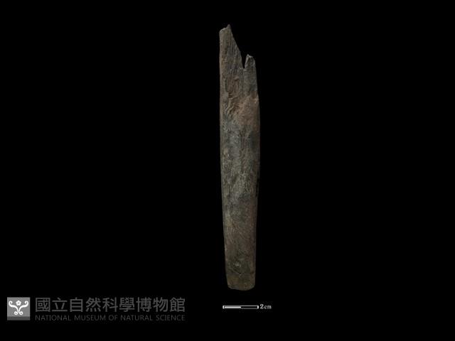 錛鑿形器藏品圖，第1張
