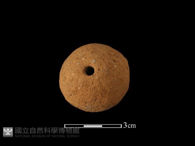 紡輪藏品圖，第1張