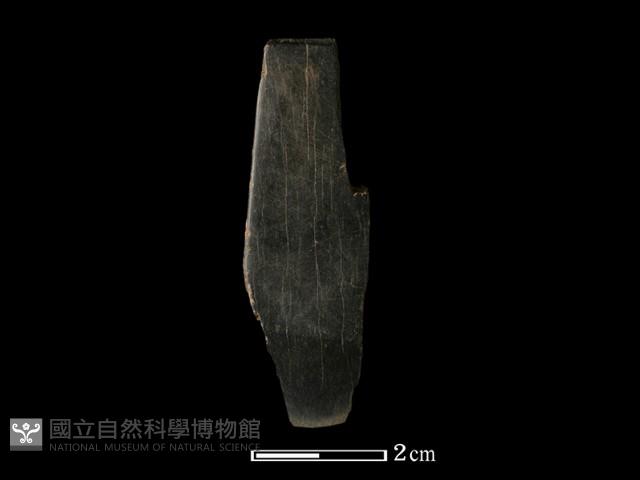 錛鑿形器藏品圖，第2張