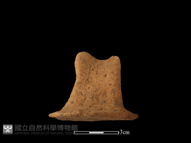 陶蓋鈕藏品圖，第2張