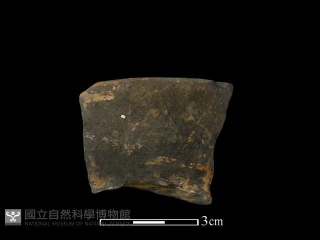 陶罐藏品圖，第1張