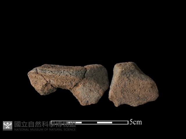 陶片藏品圖，第2張