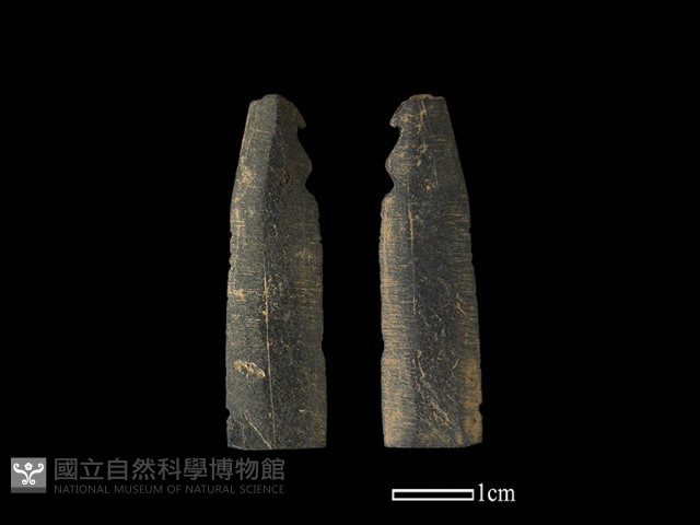矛鏃形器藏品圖，第1張
