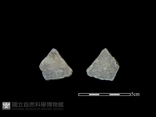 陶片藏品圖，第1張