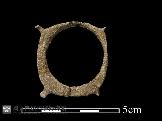 玉玦藏品圖，第1張