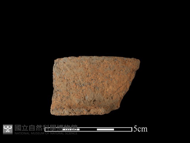 陶罐藏品圖，第1張