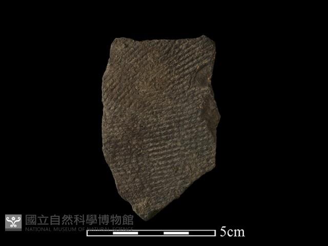 陶片藏品圖，第1張