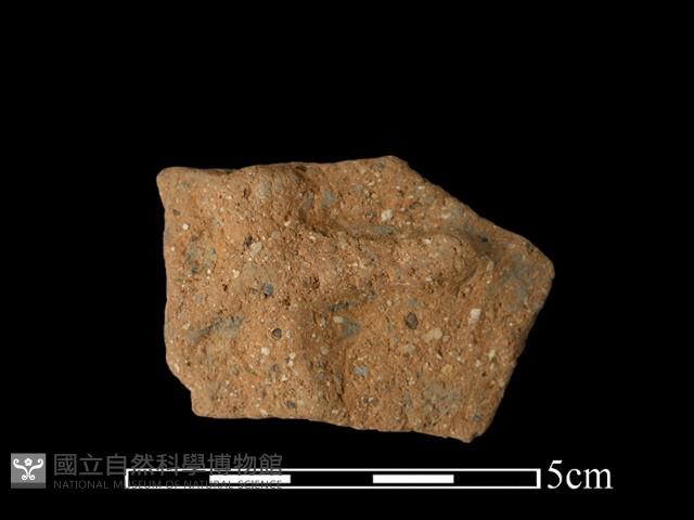 陶片藏品圖，第1張