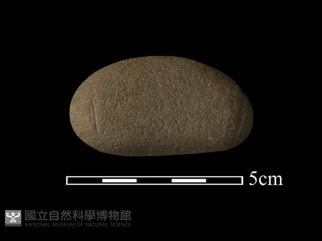 網墜藏品圖，第1張