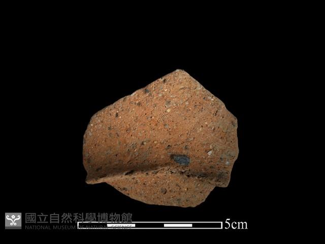 陶片藏品圖，第1張