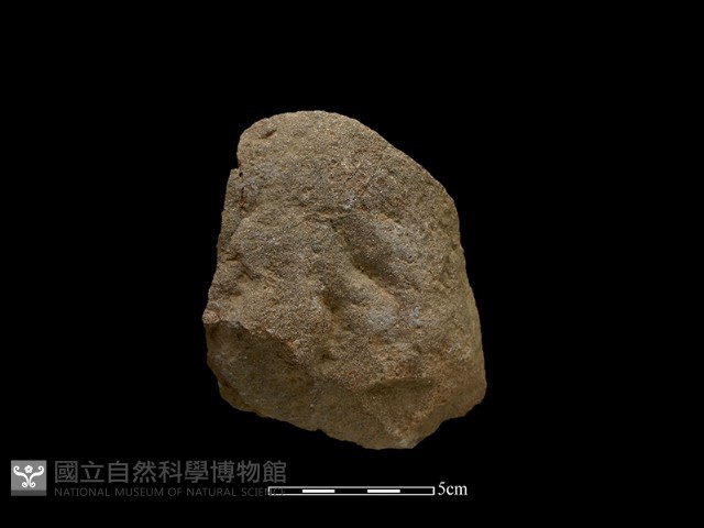 斧鋤形器藏品圖，第1張