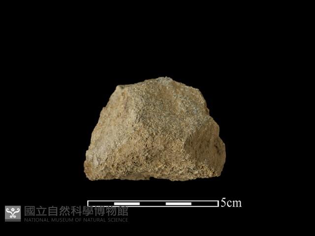 斧鋤形器藏品圖，第1張