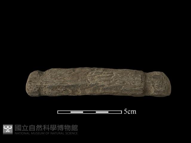 網墜藏品圖，第1張