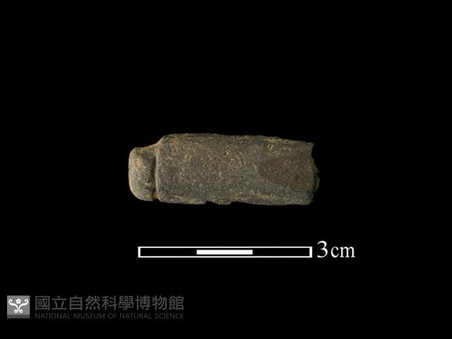 網墜藏品圖，第1張