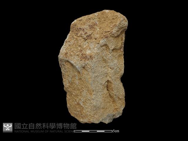 斧鋤形器藏品圖，第1張