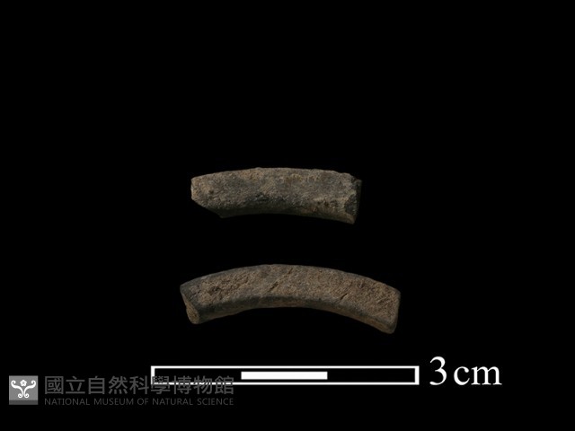陶環藏品圖，第1張