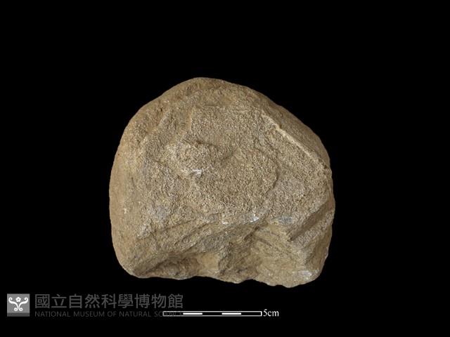 砍砸器藏品圖，第2張