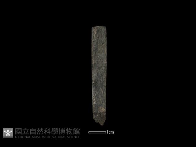 Accession Number:AA200908124 Collection Image, Figure 1, Total 3 Figures