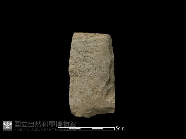 錛鑿形器藏品圖，第2張