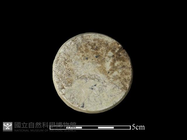 玉核藏品圖，第1張