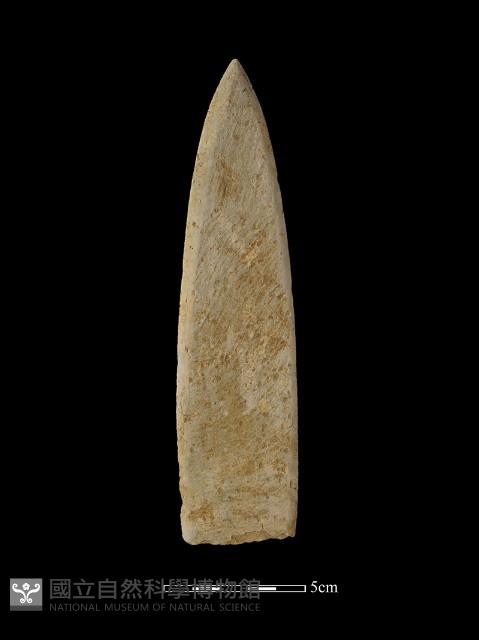 矛鏃形器藏品圖，第1張