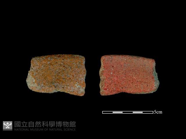 陶片藏品圖，第1張