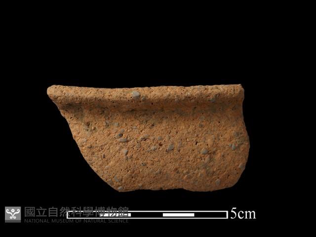 陶罐藏品圖，第2張