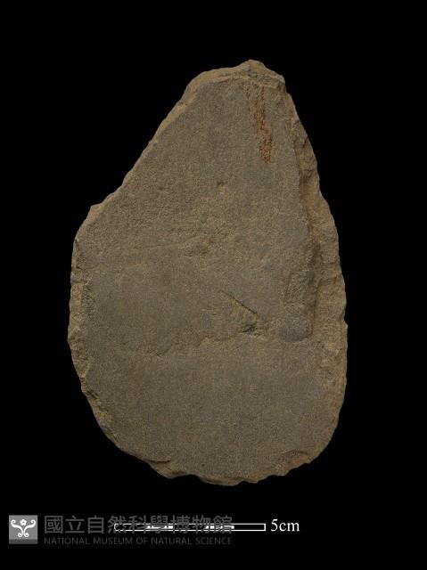 磨製斧鋤形器藏品圖，第1張