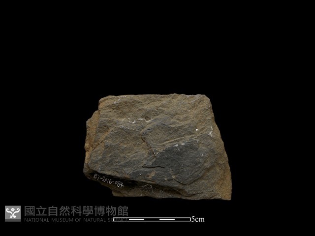 斧鋤形器藏品圖，第1張