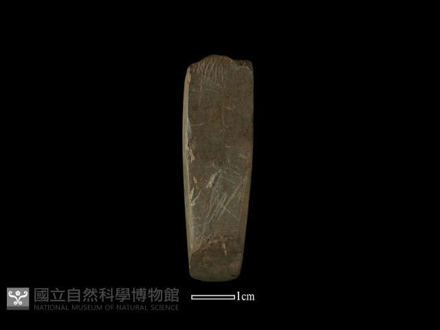錛鑿形器藏品圖，第2張