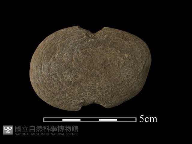 網墜藏品圖，第2張