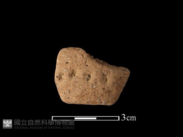 陶把藏品圖，第1張