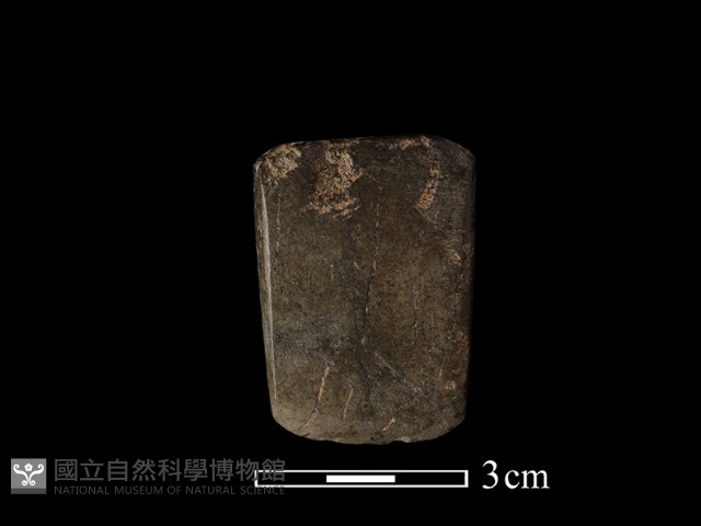 錛鑿形器藏品圖，第1張