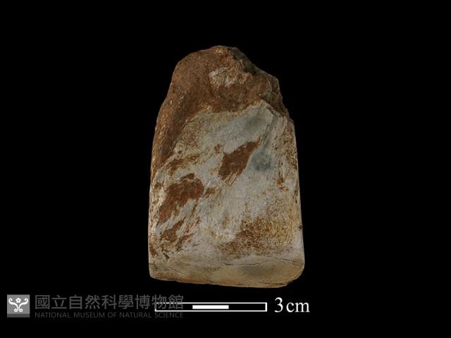 錛鑿形器藏品圖，第2張