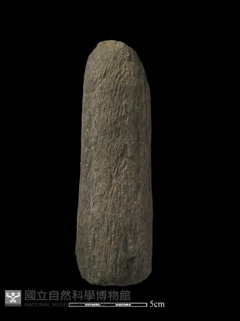 石杵藏品圖，第2張